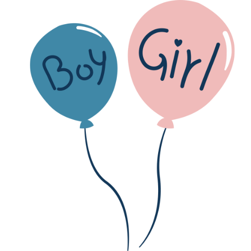 ballon bleu bou et ballon rose girl