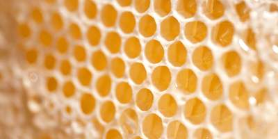 cire abeille
