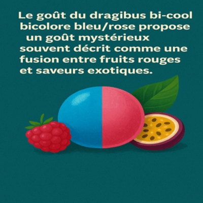 dragibus bi-cool bleu rose