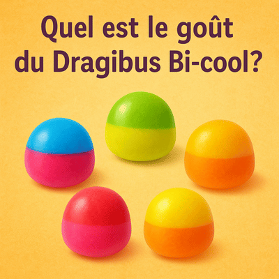Quel est le goût du dragibus bi-cool ?